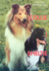 Collie And Sheltie Book